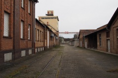 BfB-13