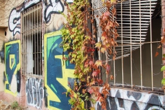 P9140079